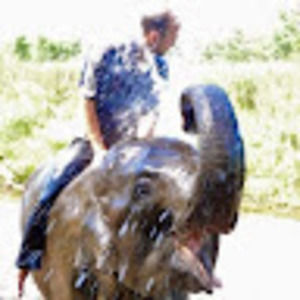 Meet your Posher, Corey